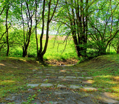 Natur